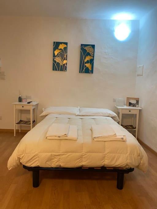 Gianfranco - City Center Apt Firenze Eksteriør billede